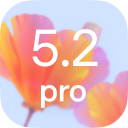 gpt-5.2-pro