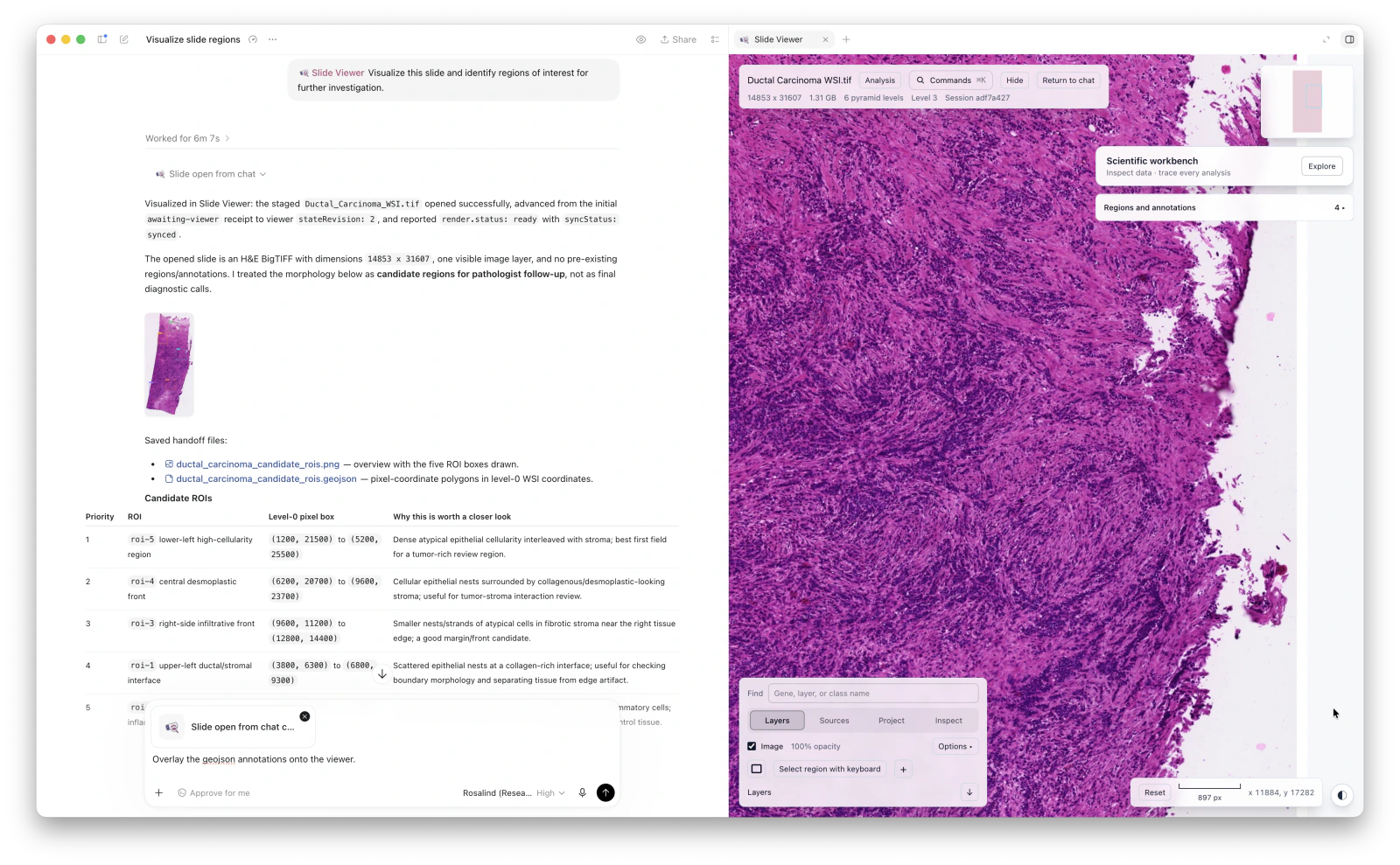 A tissue slide displayed beside a research conversation identifying regions for further inspection in Slide Viewer.