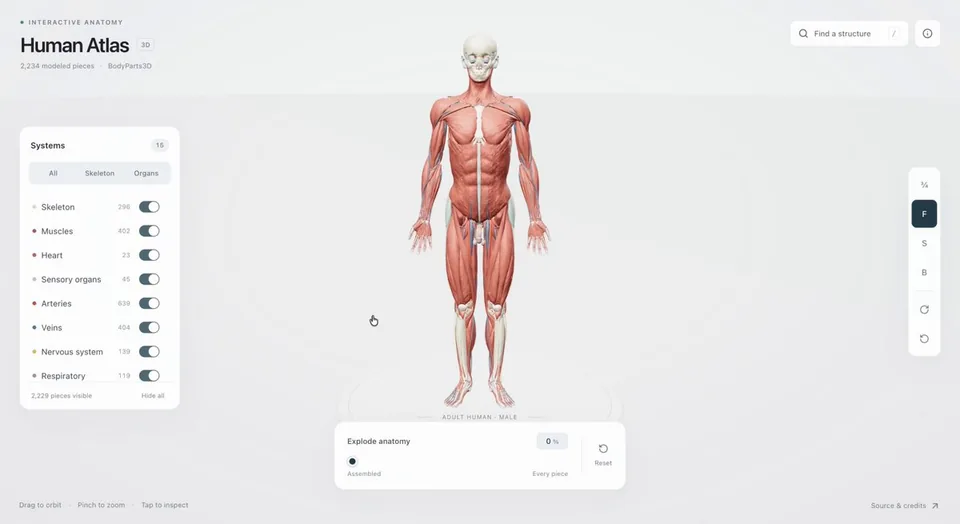 Human Atlas anatomy visualization built with Astra.