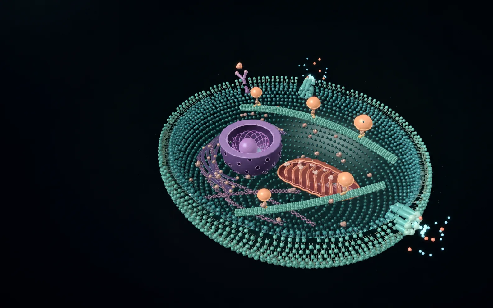 Living Cell